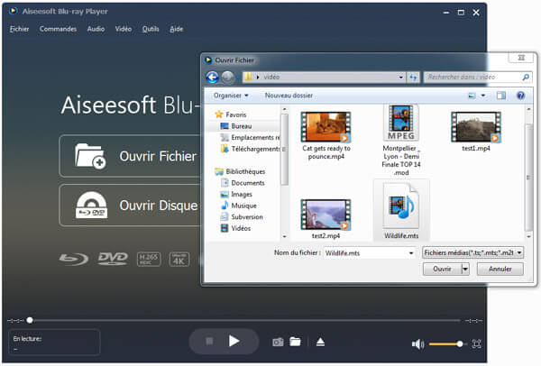 Ajouter le fichier MTS