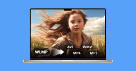 Convertir WLMP en AVI, MP4, WMV, MP3