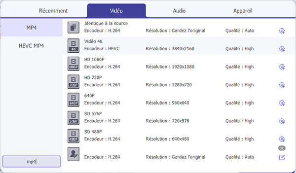 Sélectionner MP4 comme format de sortie