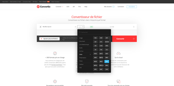 Sélectionnez MP4 comme format de sortie