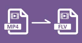 Convertir MP4 en FLV