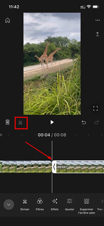 Découpage et montage des clips