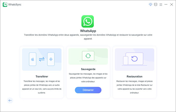 La fonction Sauvegarde sur Aiseesoft WhatsSync